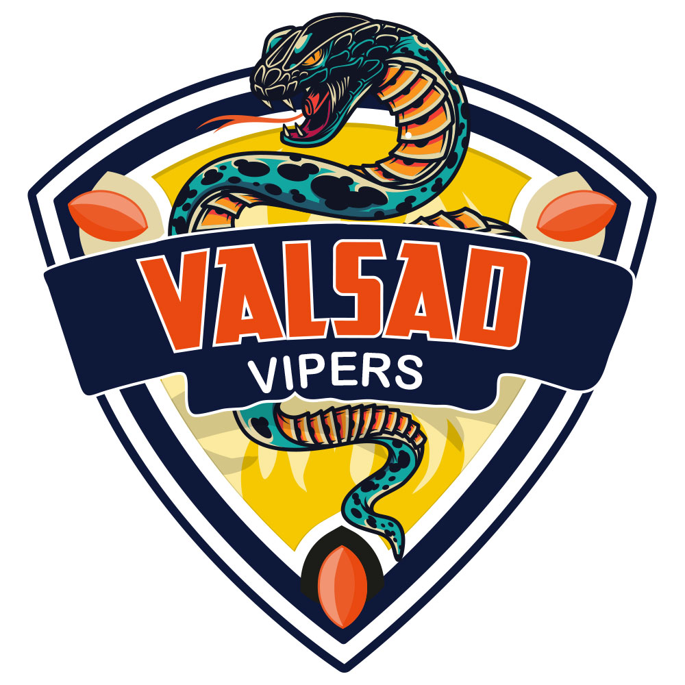 Valsad Vipers