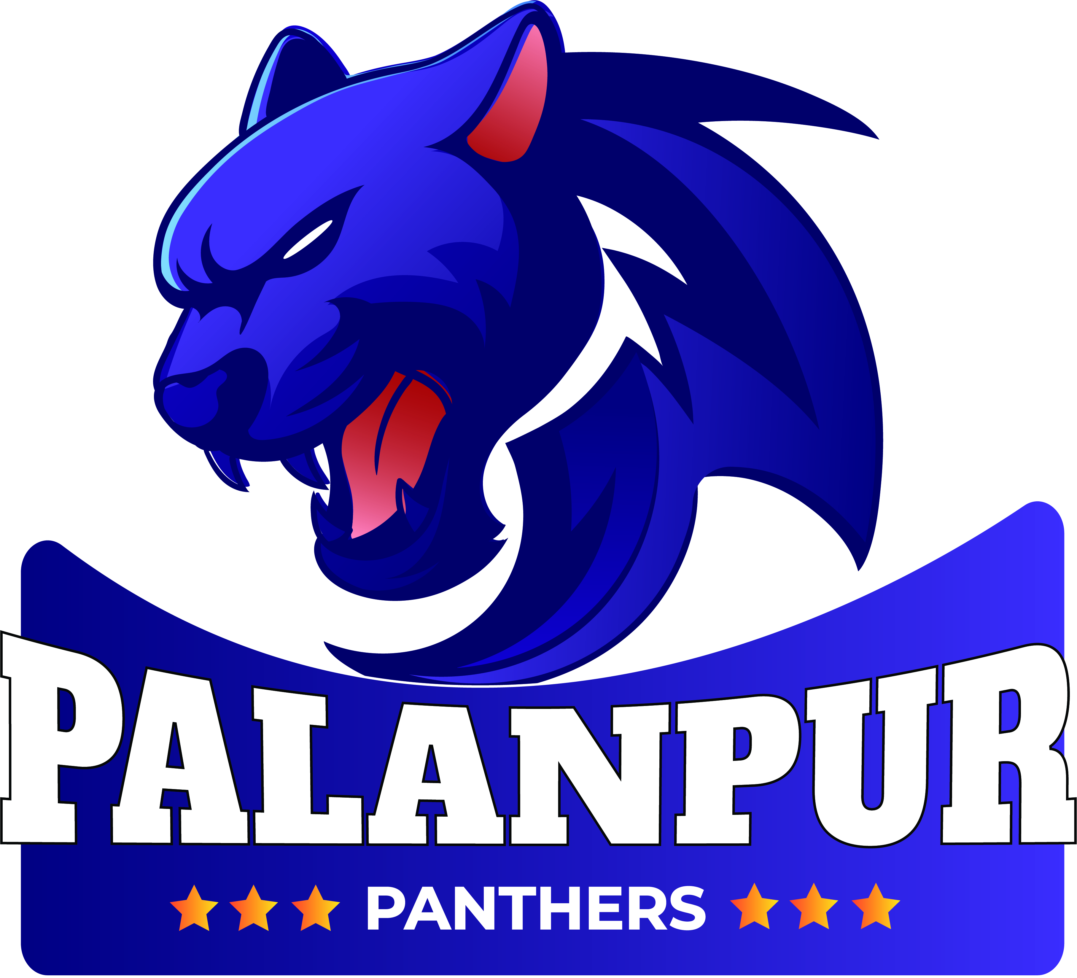 Palanpur Penthers