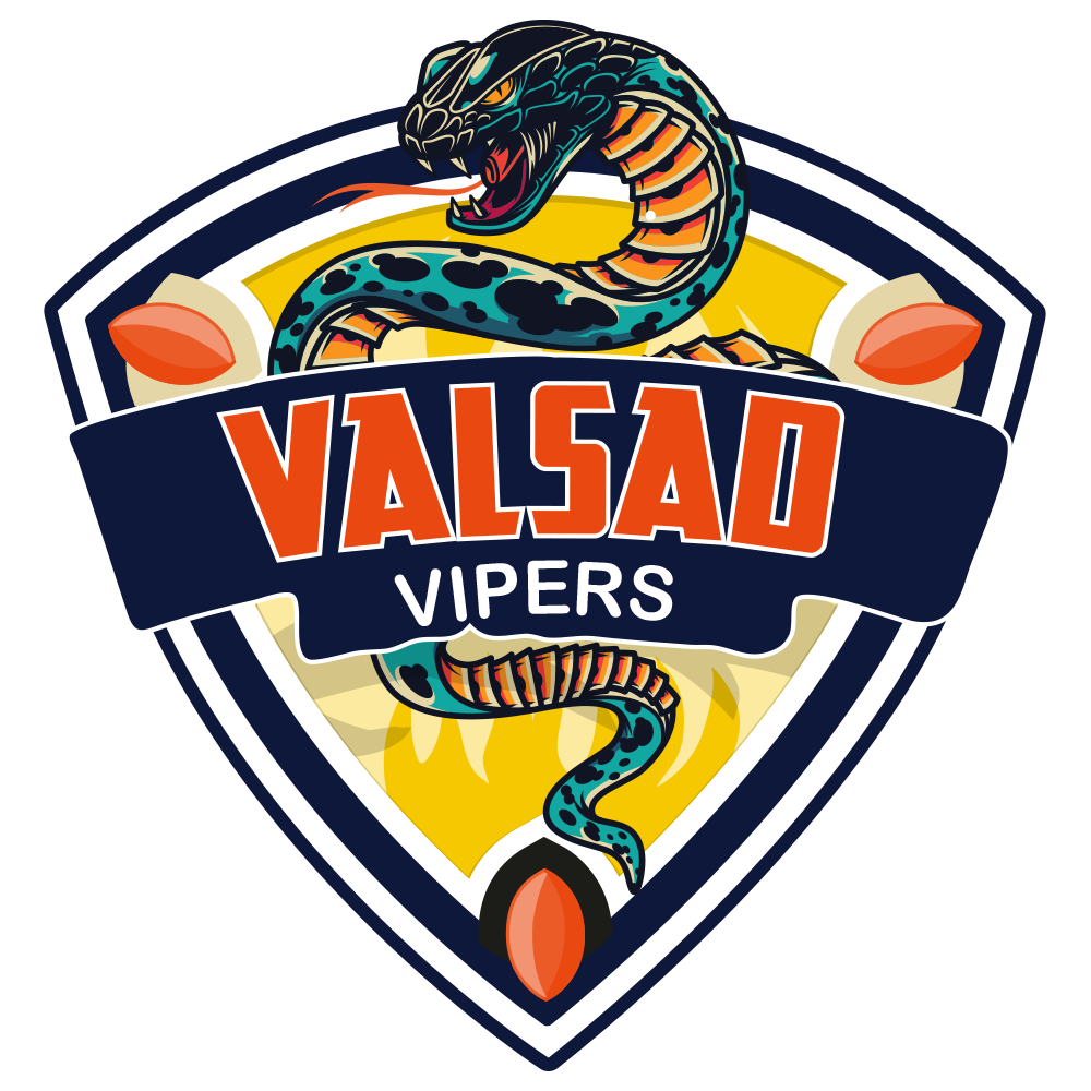 Valsad Vipers